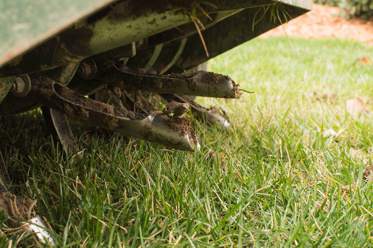 Spring Aeration For Summer Lawns