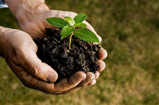 soiltesting