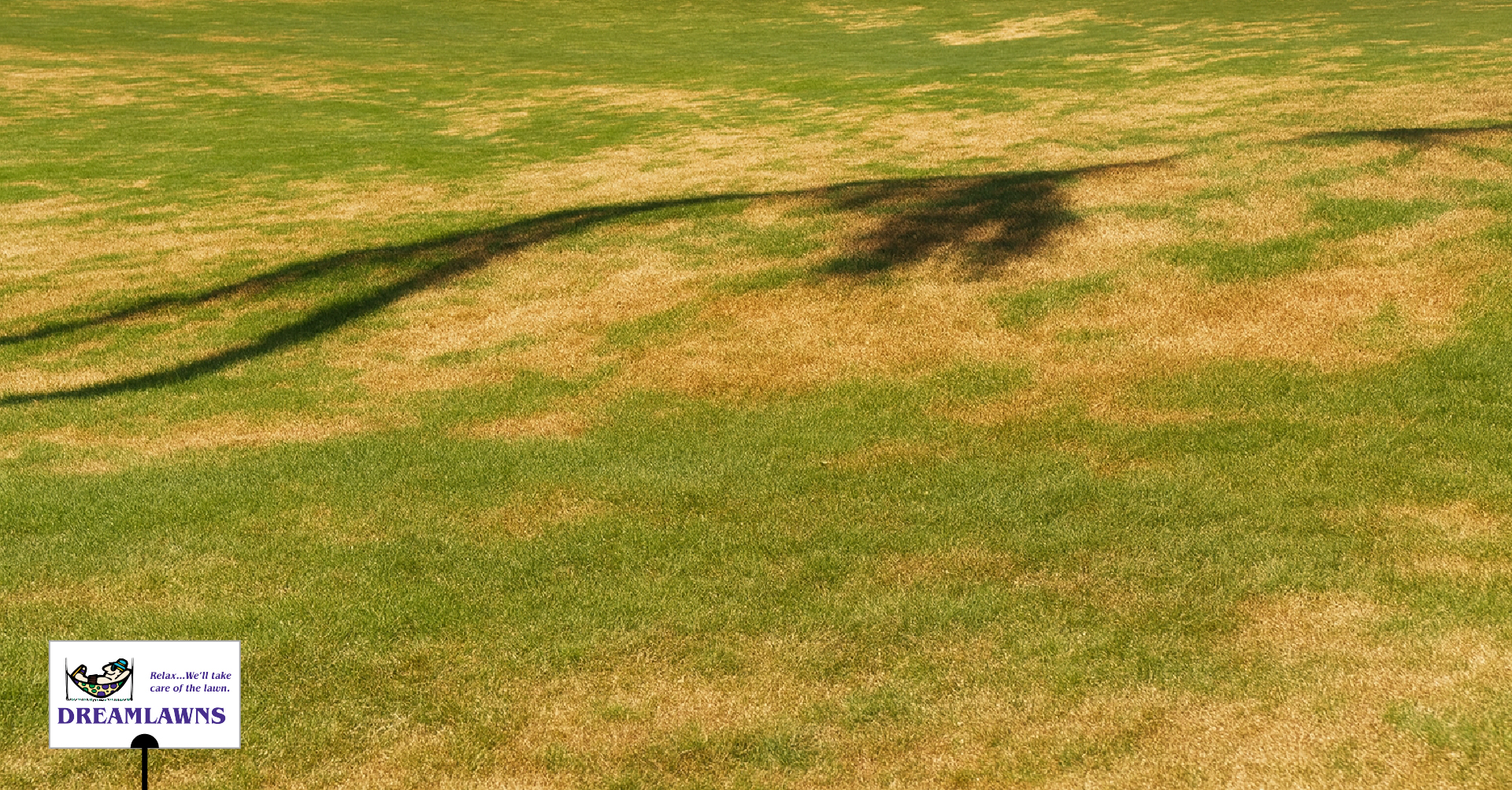 Coastal Winters V1_LinkedIn Post