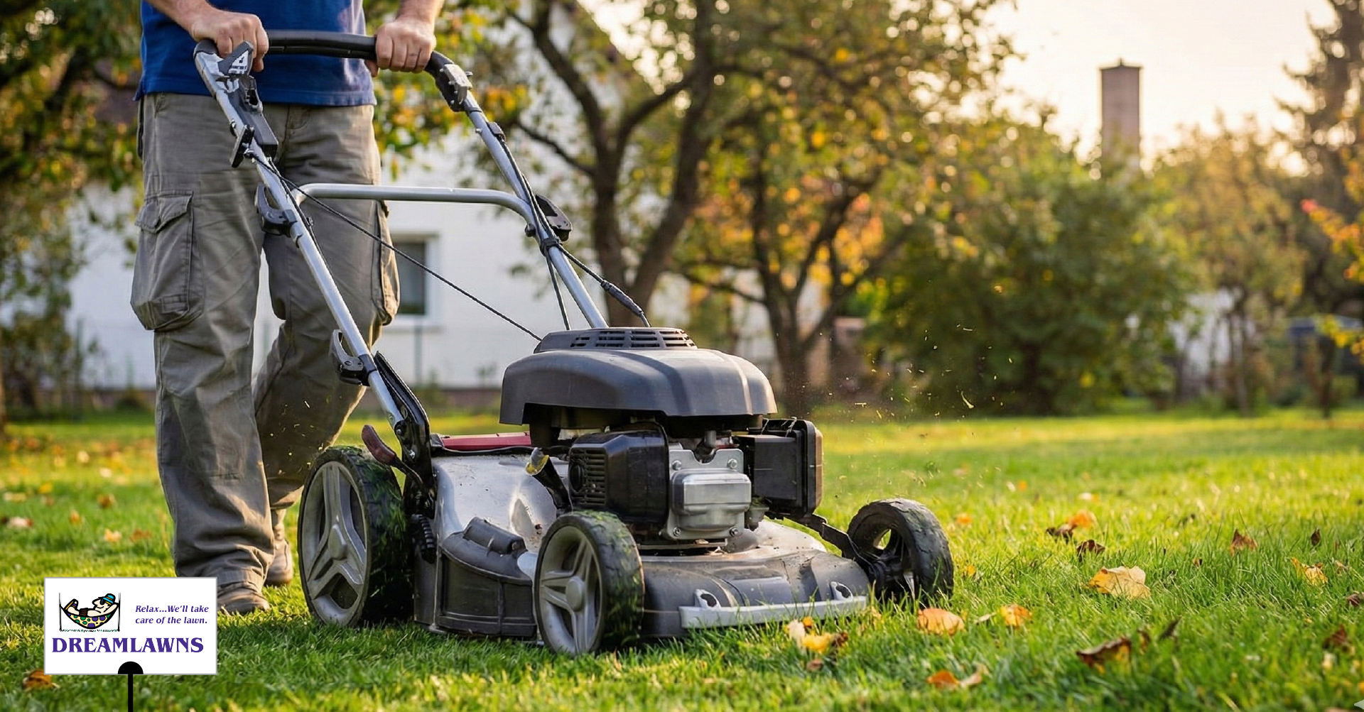 Final Mow V1_LinkedIn Post