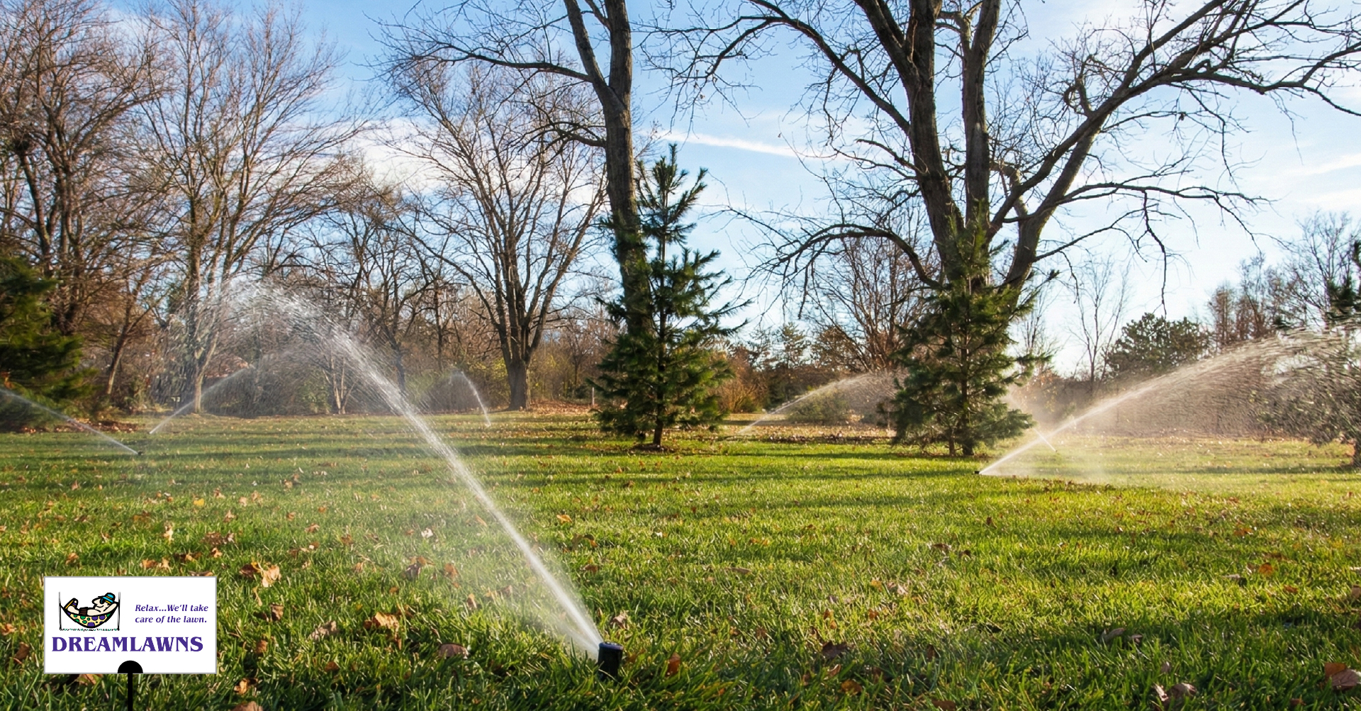 Watering in November and December V1_LinkedIn Post